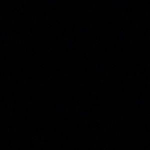 Meet your Posher, Trina